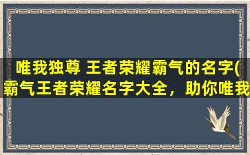 唯我独尊 王者荣耀霸气的名字(霸气王者荣耀名字大全，助你唯我独尊！)